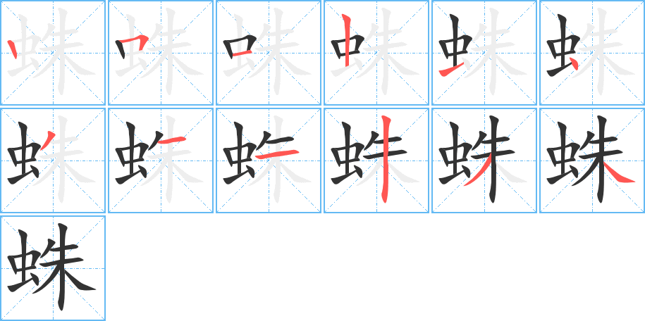 蛛